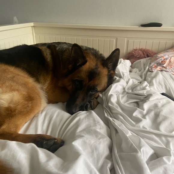 CHARITY: PLEASE Help sponsor OUR BABY girl which found out has Epilepsy! Please - Picture 7 of 7